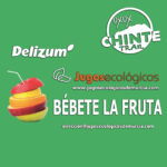 Delizum y Chinte Trail 2023